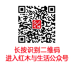 中國(guó)網(wǎng)-二維碼_02